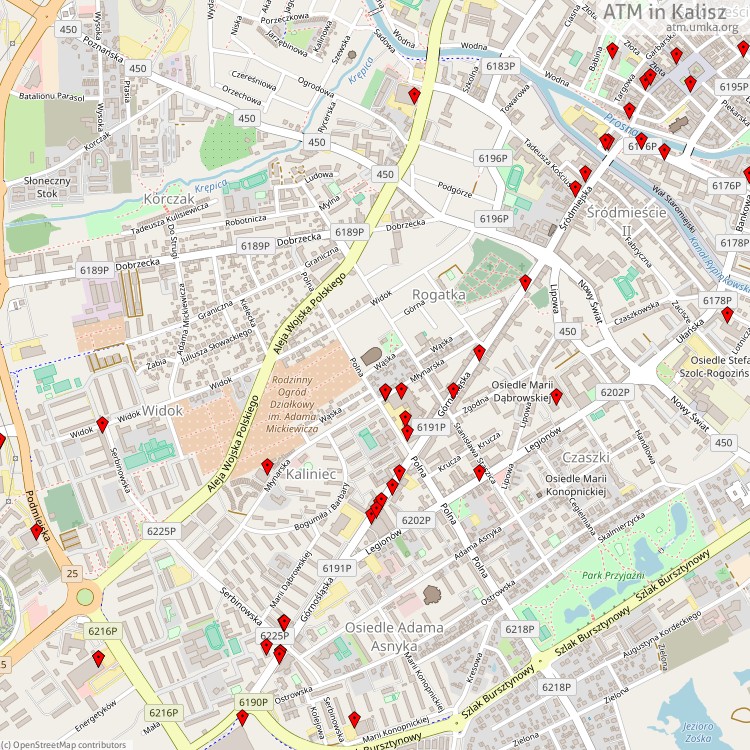 ATM Kalisz - map of cash machines